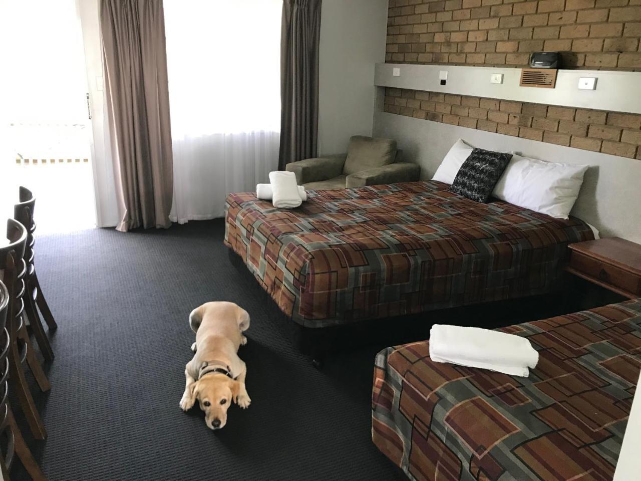 True Blue Motor Inn Rockhampton Eksteriør bilde